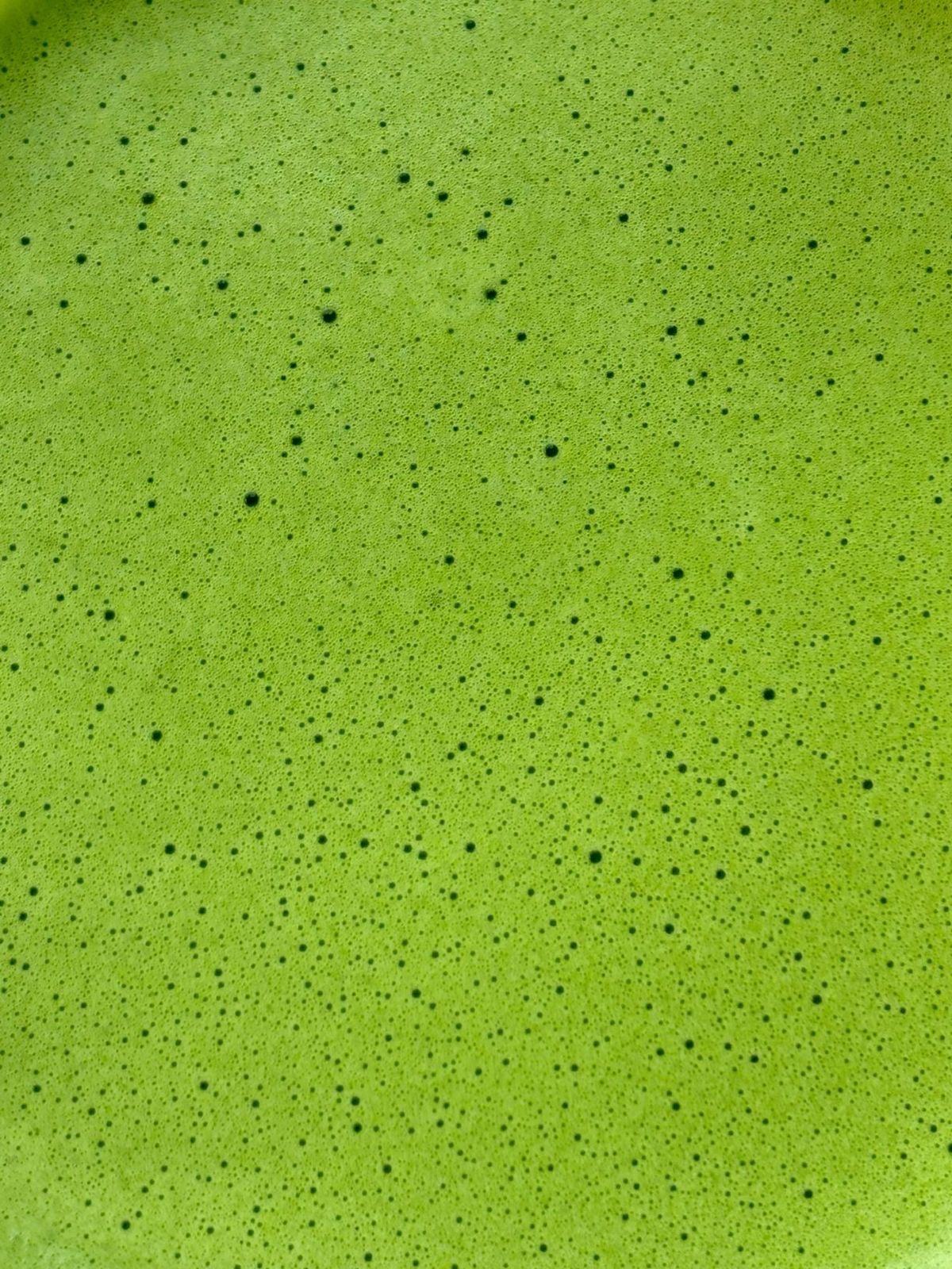 Ikuyo no Mukashi Matcha 20g Tin (0.71oz) by Ippodo Tea – Premium Usucha Grade Matcha from Kyoto | Refined Gentle Umami, Clean Elegant Aroma, Silky Smooth for Daily Tea & Ceremony Practice