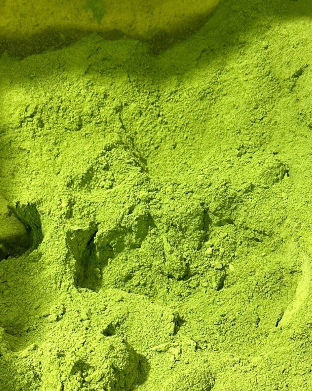 Uji Moritoku "Saika" Premium Uji Matcha – 100% Pure Authentic Japanese Green Tea Powder (30g / 1.06 oz Freshness-Locked Steel Tin)