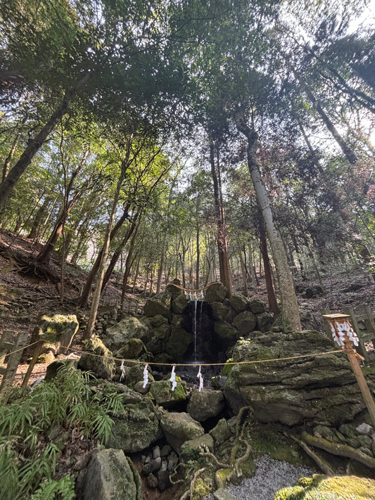 Stepping into Izumo Daijingu in Kameoka