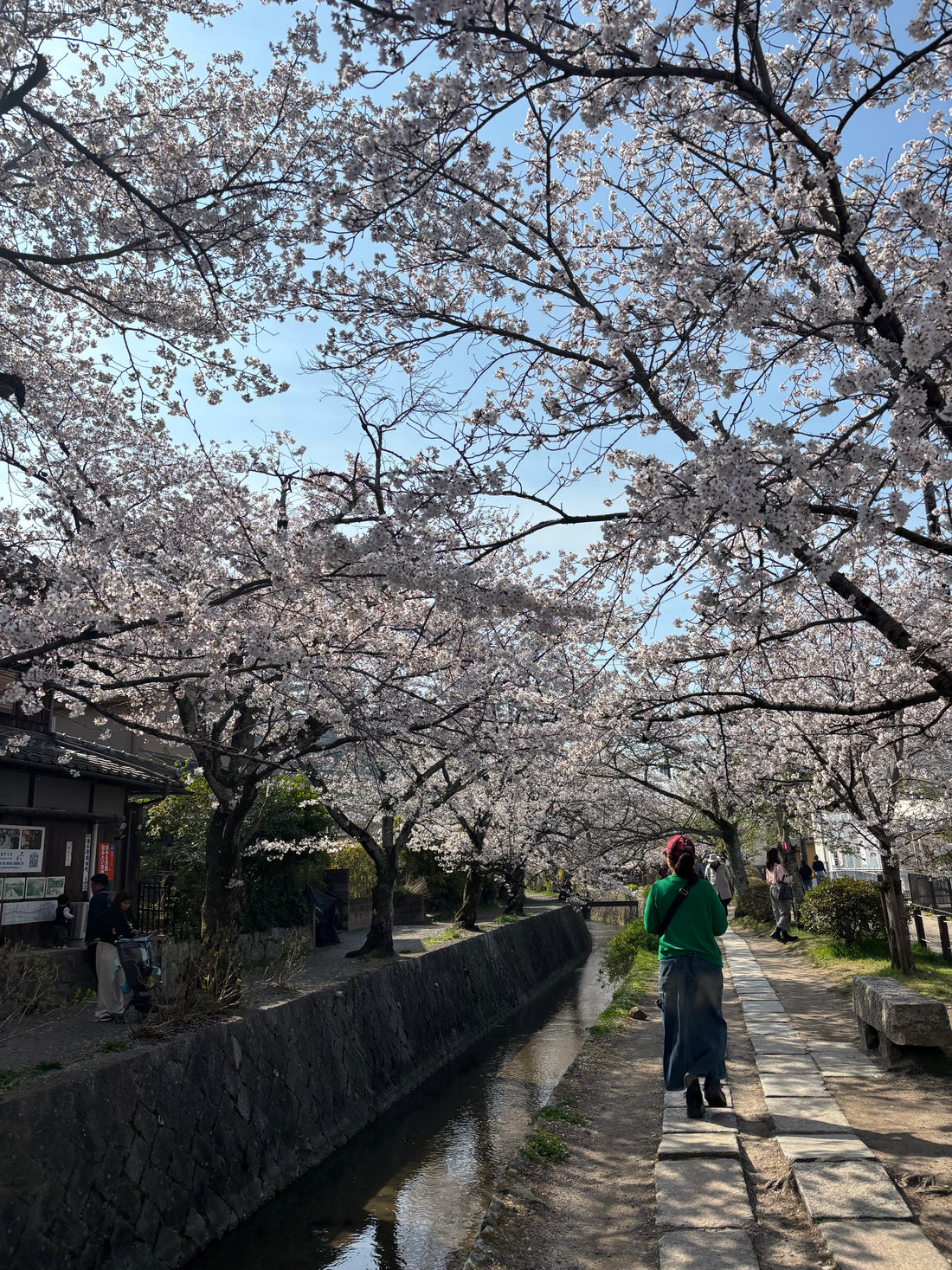 The Philosopher’s Path in Kyoto
