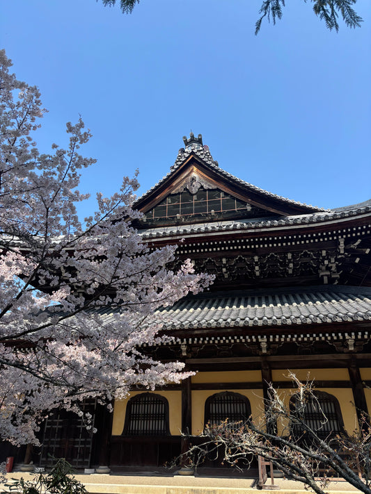 Cherry blossoms and oranges, sacred to Shinto shrines