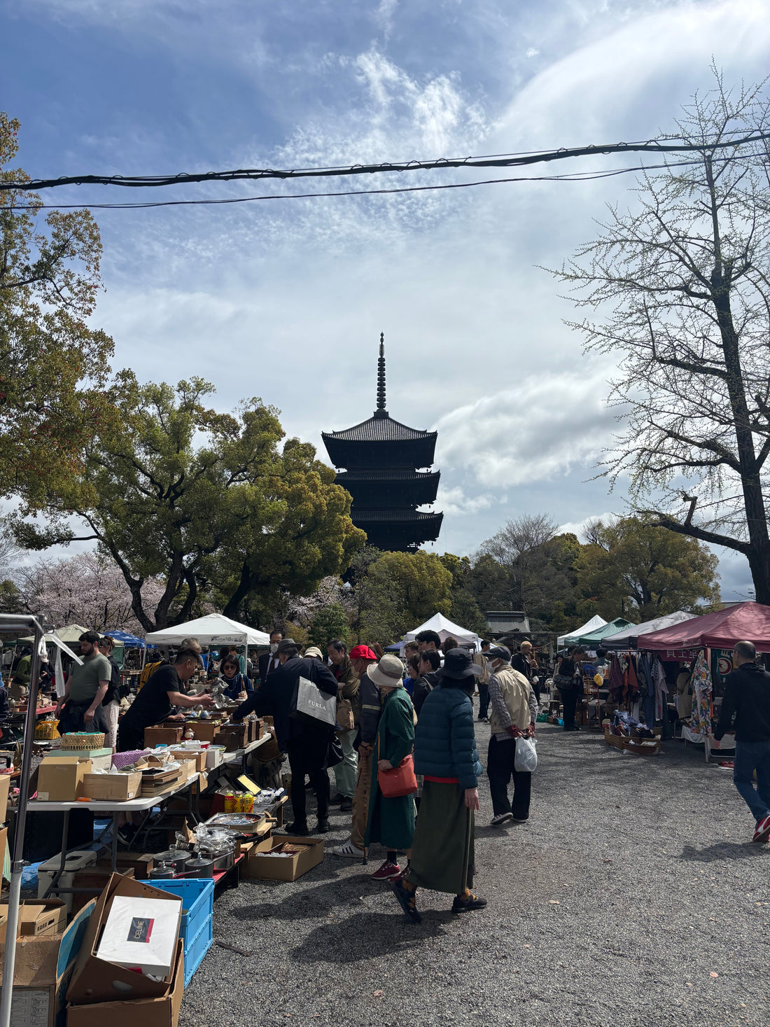 Kobo-ichi Market at To-ji Temple 🏮✨