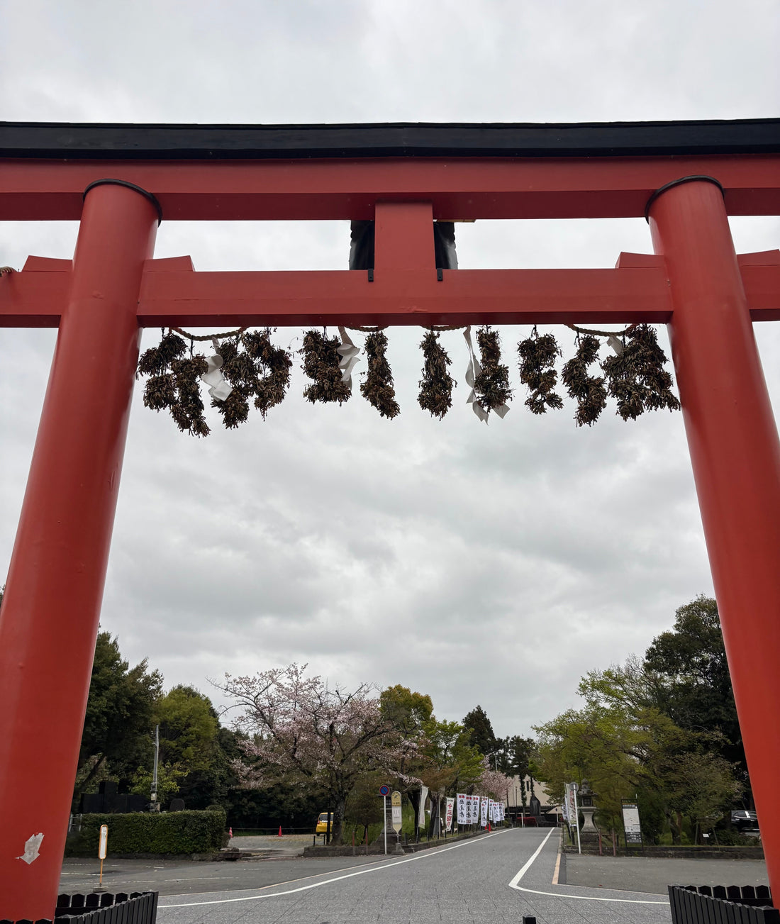 Sake and Matcha at Matsunoo-taisha Shrine