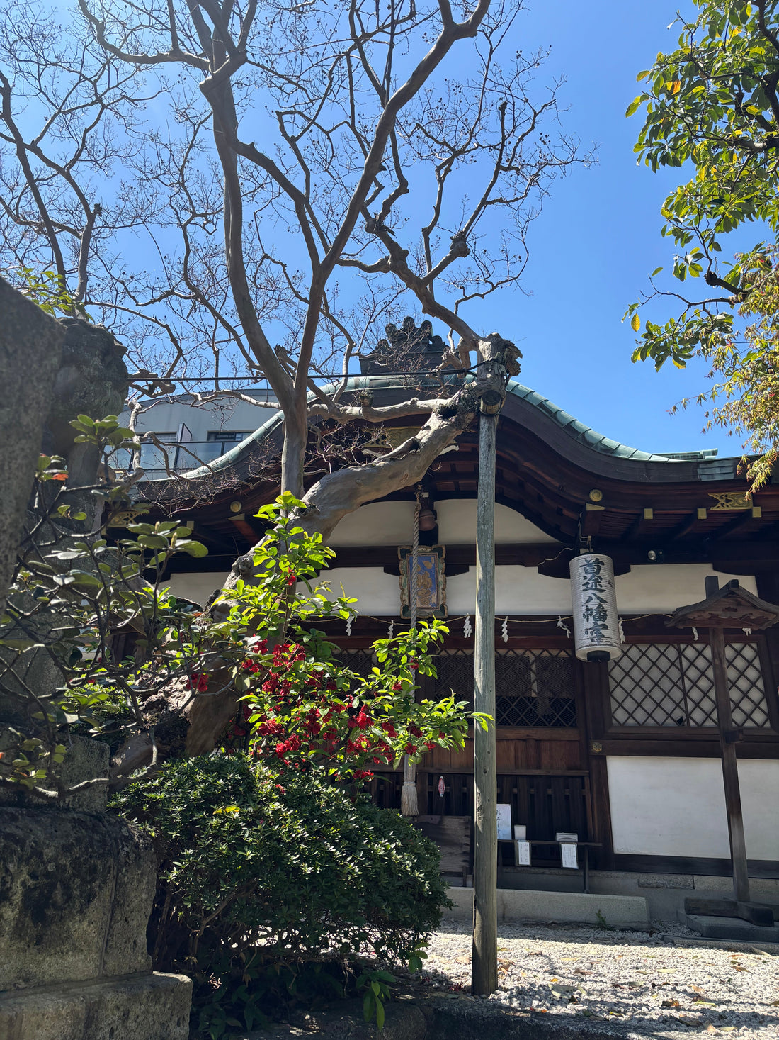 Buddha’s Birthday and Matcha