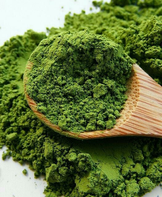 Organic Kiwami Matcha 20g (0.71 oz) by Kippoya – Premium Japanese Organic Matcha | Pesticide-Free & Chemical Fertilizer-Free, Mellow Rich Flavor for Lattes, Desserts & Cooking