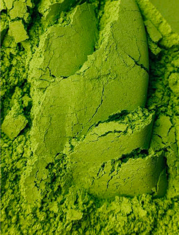 Uzu no Shiro Matcha 30g by Tsujiri – Premium Ceremonial Grade Kyoto Uji Matcha | Urasenke Dandansai Endorsed