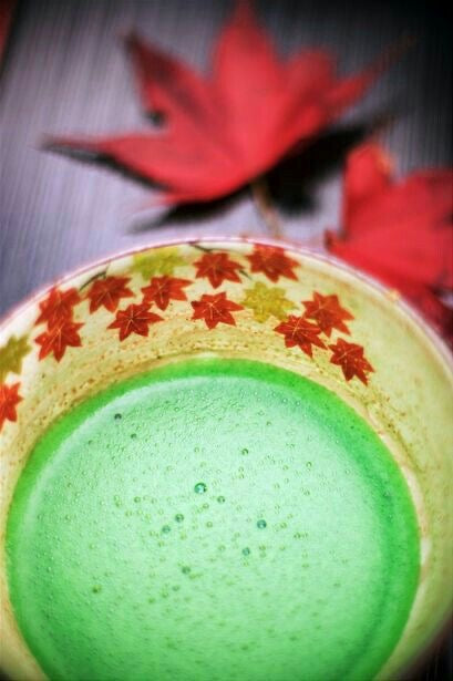 Uji Matcha 100g (3.53 oz) by Mizukami Seicha – Premium Japanese Matcha from Historic Uji, Kyoto | Rich Umami, Mellow Sweetness & Vibrant Color, Versatile for Daily Use, Lattes & Culinary