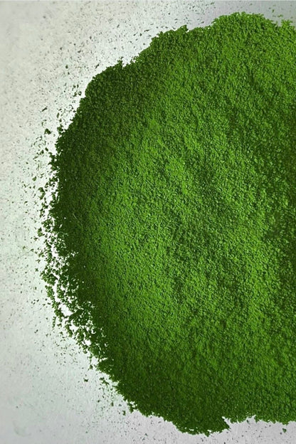 Kirishima Organic Matcha 30g (1.06 oz) by Hentaseicha – Premium Certified Organic Matcha from Kagoshima | Rich Umami, Smooth Sweetness, Vibrant Color & Versatile Daily Use