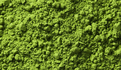 Uji Moritoku "Miyo no Mukaishi" Premium Uji Matcha 30g Tin – 100% Pure, Authentic Stone-Milled Japanese Green Tea Powder from Kyoto (Freshness-Locked Airtight Can)