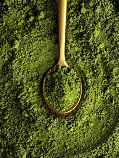 Yabukita Yame Matcha 30g (1.06 oz) Tin by Cha-shi Murozono – Premium Single-Cultivar Matcha from Yame, Fukuoka | Mellow Aroma, Smooth Umami & Low Bitterness