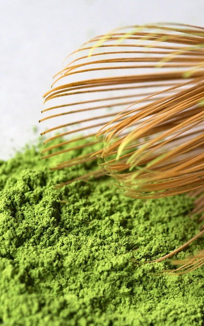 Kodemari Matcha 100g Bag by Hoshinoen Seicha – Premium Everyday Usucha Grade Yame Matcha from Fukuoka | Toasty Aroma, Balanced Umami, Smooth & Approachable for Daily Enjoyment