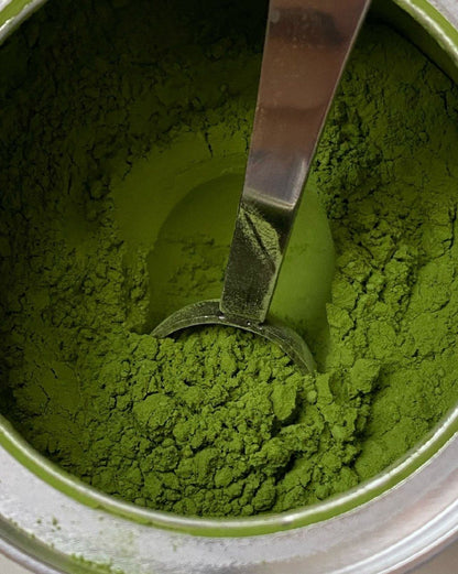 Matcha Ikkyu no Sato 30g (1.06 oz) Tin by Hosuien – Premium Everyday Matcha from Mie | Soft Mouthfeel, Gentle Aroma, Clean Finish & Easy Daily Drinking