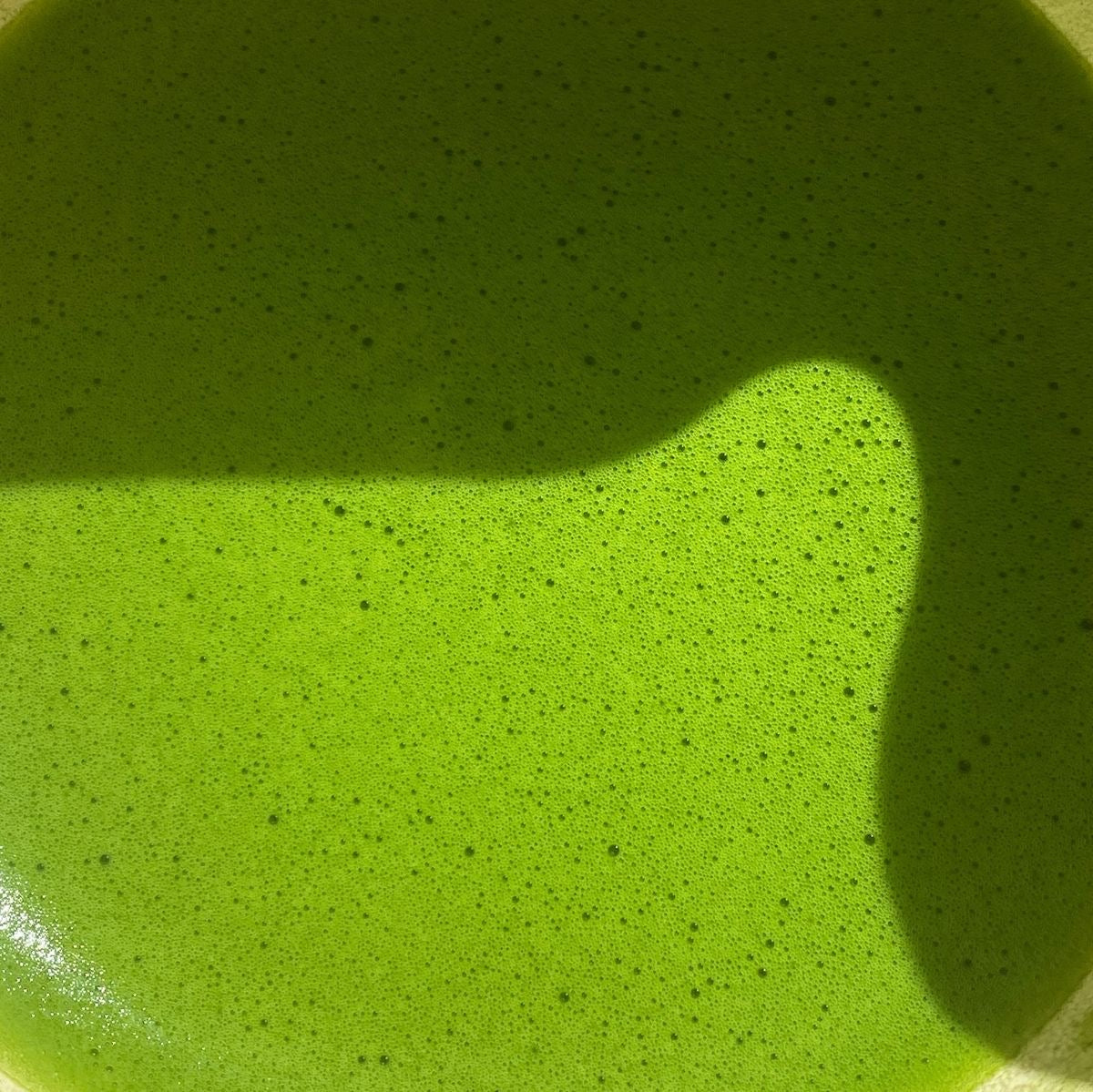 Organic Matcha 30g Tin by Senchado Tokyo – Premium Certified Organic Japanese Matcha | Smooth Creamy Texture, Refreshing Flavor, Gentle Umami & Versatile Daily Use